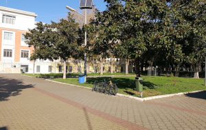 Parco Cesare Braico chiuso dopo la caduta di un albero: la comunicazione arriva solo via social da una pagina con appena 76 followers