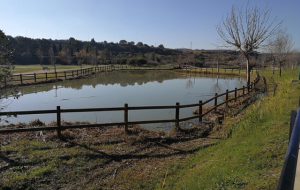 Nuova illuminazione al Parco del Cillarese, Giuffrè: “significativo intervento pubblico/privato”