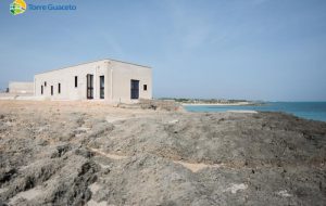 Una Riserva senza confini: al via due progetti per la tutela dell’ambiente e degli animali oltre il perimetro di Torre Guaceto