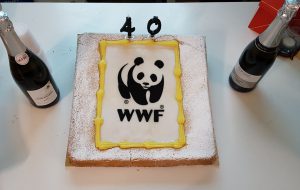 Il WWF di Brindisi festeggia i primi 40 anni