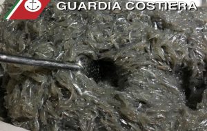 Pesca illegale: sequestrati ricci e schiuma di mare