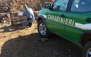 5000 metri cubi di rifiuti provenienti da cantiere edile all’interno di un’azienda zootecnica