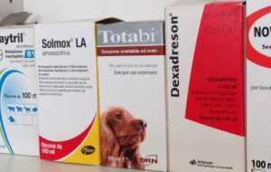 Usava medicinali rubati dall’Ospedale di Brindisi: nei guai un veterinario