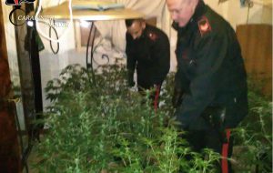 Blitz dei Carabinieri all’alba: 15 persone arrestate per droga, estorsione, rapina e possesso di armi