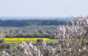 A Serranova Pasqua in Terrazza e Pasquetta in Campagna con gli amici asinelli