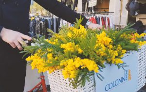8 Marzo: Positivo il bilancio dell’iniziativa organizzata dal centro commerciale “Le Colonne Shopping Centre” di Brindisi