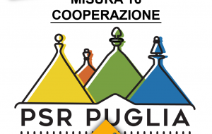 Il GAL Terra dei Messapi primo in graduatoria regionale sulla Misura 16.3.2