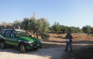 I Carabinieri Forestali sequestrano strada abusiva con rifiuti edili