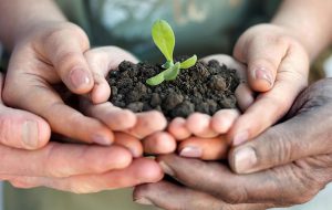 Disposizioni in materia di agricoltura sociale. Sì unanime del Consiglio regionale