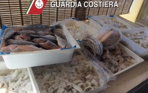 La Guardia Costiera sequestra prodotti ittici privi di tracciabilità