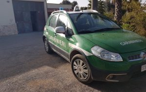 Scoperta l’ennesima autocarrozzeria abusiva: denunciato 48enne di San Michele