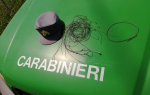 Trappole mortali per lepri al Parco delle Saline: intervengono i Carabinieri Forestali