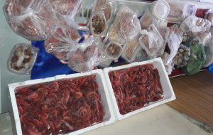 Sequestri di pesce e ricci di mare in tutta la Puglia