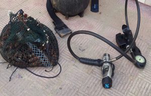 Sequestrati e distrutti oltre 2,5 kg di datteri di mare