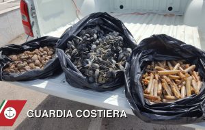 Pesca illegale: sequestrato mezzo quintale di cozze tra nere, noci, cannolicchi e piedi di capra
