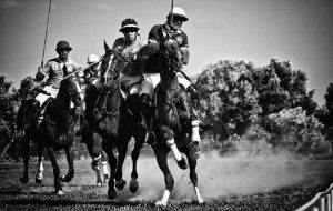 La disciplina del Polo nella Piana degli Ulivi Secolari di Puglia