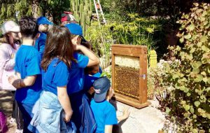 Domenica al Parco Dune Costiere la festa conclusiva del progetto di educazione ambientale sulle biodiversità agricole