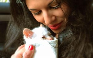 L’incredibile storia di Casper, il gattino che gira la città nel motore delle auto