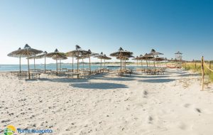 Al via l’estate di Torre Guaceto: il lido della Riserva apre i battenti