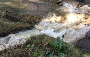 Scarico abusivo nella riserva di Torre Guaceto: sequestrata masseria
