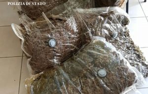 La Polizia di Stato sequestra 34 chili di marijuana
