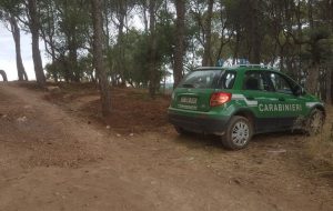 Lavori abusivi in una pineta: denunciato proprietario