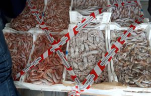 La Guardia Costiera sequestra più di un quintale di moscardini e gamberi rosa