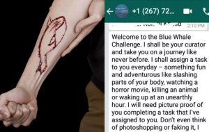 Blue Whale a Latiano denunciata una persona per favoreggiamento personale
