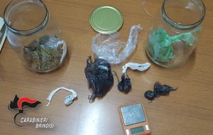 20enne custodiva la marijuana nei barattoli di vetro: arrestato
