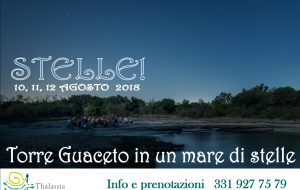 Un mare di stelle a Torre Guaceto