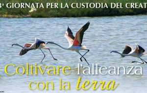 Domenica 16 la “13^ Giornata della Custodia del Creato” nel parco “Salina di Punta della Contessa”