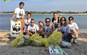 Musica ad alto volume ad Apani, kytesurf in zona A ed ulivi abbattuti a Torre Guaceto: WWF chiede chiarezza
