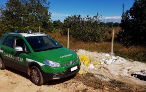 Plastica e fitofarmaci abbandonati sui terreni: denunciato proprietario del fondo