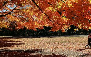 Autunno: l’importanza dell’acqua e dei vestiti. Di Rocco Palmisano