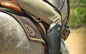 Circolo Ippico Mitrano: tutto pronto per gli stage di avviamento all’Equitazione