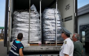 Sequestrate 24 tonnellate di cozze nere