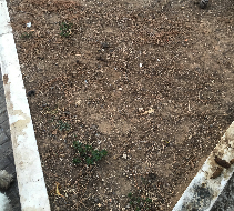 Inaugurato il primo Fly Park al mondo. Il territorio di Brindisi precursore dell’accoglienza