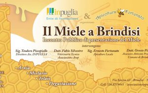 Il Miele a Brindisi: importante incontro organizzato da InPuglia