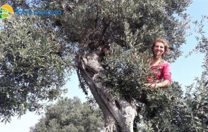 Al via lo spettacolo degli artisti della residenza LandXcape di Torre Guaceto