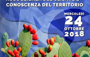 DUC Città Bianca: al via il corso di “Accoglienza del cliente e conoscenza del territorio”, rivolto agli operatori commerciali ostunesi