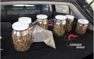 Aveva 270 grammi di marijuana: arrestato 50enne