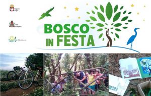 Parchi in festa: domenica da mattina a sera attività gratuite nel Bosco di Cerano