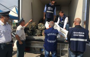 Cozze e pesce dalla Grecia senza certificati di tracciabilità