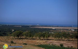Racconti e memoria dei luoghi: venerdì a Torre Guaceto si dialoga sul paesaggio