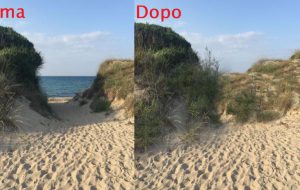 Bando di finanziamento per la tutela e la promozione delle aree naturali: il progetto di Torre Guaceto è il migliore in Puglia