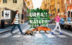 Urban Nature: domani anche a Brindisi la giornata WWF dedicata alla biodiversità