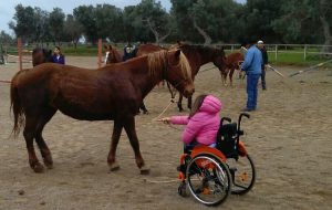 L’equitazione naturale arriva a Brindisi