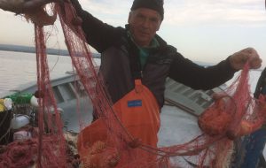 Fondo europeo per gli affari marittimi e la pesca: disponibili i primi 200mila euro per l’avvio del Piano di Azione Locale del GAL Alto Salento 2020