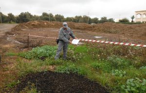 Frantoio scarica su terreni agricoli: aree sequestrate, denunciato proprietario