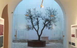 “Natale ai Musei” ad Ostuni: gli eventi dal 27 dicembre al 2 gennaio